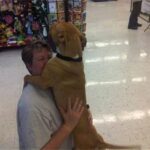 person and dog hugging.