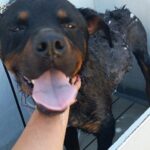 bath time.