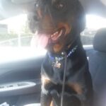 Niles on his way to VMSG.