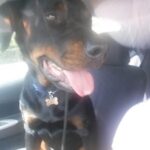 Niles on his way to VMSG.