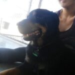 Sam waiting at the vet.