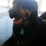 Sam still waiting at the vet.