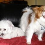 Maddie and friend.