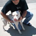 Dudley was boarding in LA for nearly two months.