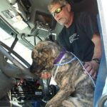 Here’s Jeffrey – rescued from Camarillo last week.