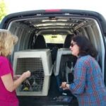 two women at the back of a van with two dogs inside crates.
