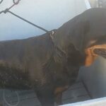 Maxine bath time.