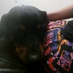 Maxine Vet visit.