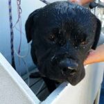 Bath time for new arrival Betty.