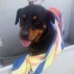 Bath time for Maxine.