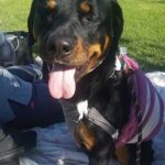 Lucy on the road to recovery!