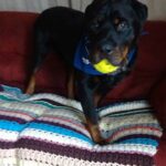 Juice holding his favorite ball.
