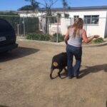 Dakota walking outside.