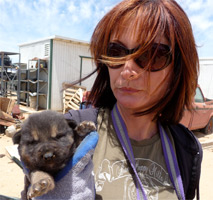 Animal Resources at Mojave Desert rescue