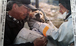 man and dog reunited